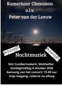 poster-limburg